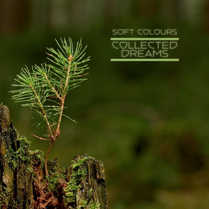 轮轩漂亮人妻视频
