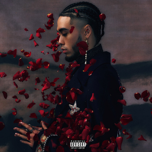 美女在网上玩繁殖l
