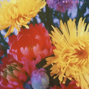 裸体美女馒头屄视频网站
