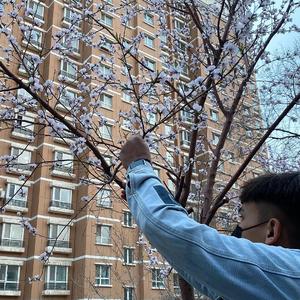 大鸡巴操骚逼淫语对白视频
