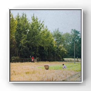 美女在网上玩繁殖l
