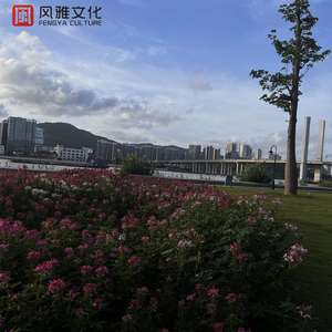 五月天综合激情
