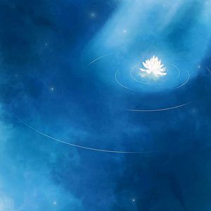 拳脚女王周晓琳电影
